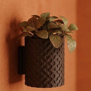 Puede incluir: Una maceta cilíndrica de pared en color marrón oscuro con un patrón geométrico repetitivo y elevado similar a un rompecabezas en su superficie exterior. Una pequeña planta con hojas verdes variegadas y venas rosadas crece desde la parte superior.