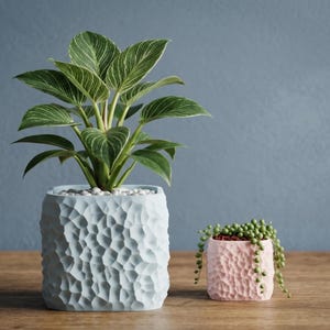 Puede incluir: Una maceta grande de color azul claro con una superficie texturizada y facetada que contiene una planta de rayas verdes y blancas, junto a una maceta rosa más pequeña con textura similar y una planta suculenta colgante.