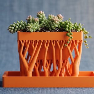 May include: A bright orange rectangular planter with a complex, branching tree-like support structure. The planter sits on a matching rectangular tray and contains a variety of green succulents, including string of pearls and sedum plants.