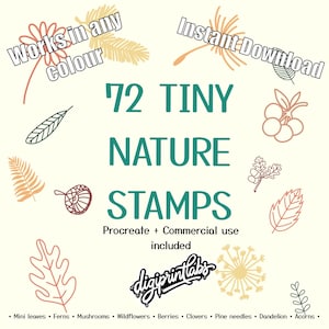 72 Tiny Nature Autumn / Fall Procreate Stamps | Botanical Line Art Brushes (Digital Download)