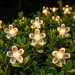May include: A string of decorative lights featuring translucent, five-petalled flower-shaped covers. Each flower contains a warm white LED bulb at its centre. The lights are connected by a thin, dark green wire, creating a glowing floral display.