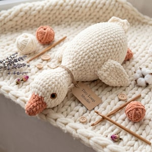 Può includere: Un'oca all'uncinetto color crema con becco color pesca e occhi marroni. Un'etichetta di carta marrone attaccata al collo riporta la scritta Tiny Loop Studio. L'oca è circondata da piccoli gomitoli di lana, bottoni e uncinetti in legno.