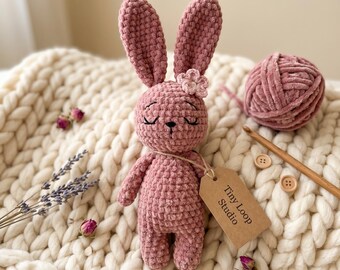 Crochet Bunny Amigurumi Pattern, Plush Seamless Stuffed Toy Sleeping Eyes, Floppy Ear Kawaii Gift, Cottagecore Plushie, PDF Instant Download