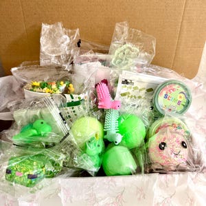Könnte beinhalten: Eine Sammlung verschiedener kleiner Spielzeuge und sensorischer Artikel, verpackt in durchsichtigen Plastiktüten in einem Karton. Das Sortiment umfasst grüne Schleimbehälter, eine rosa stachelige Kreatur, eine grüne Schildkröte und ein Set.