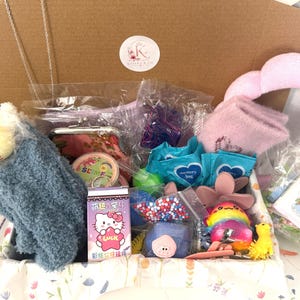 Puede incluir: Una caja de regalo de cart&oacute;n llena de art&iacute;culos variados, incluyendo un peluche azul difuso, una caja de Hello Kitty con el texto 'Luck', un peque&ntilde;o recipiente etiquetado como 'Slime', dos paquetes azules 'mystery bag', un accesorio para el pelo rosa y una peque&ntilde;a tarjeta floral.