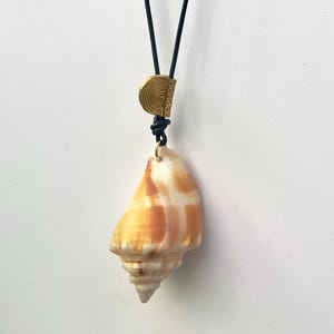 Fighting conch shell pendant necklace with brass accent bead
