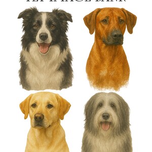 Hund Clipart-paket, redigerbar Canva-mall, 4 raser av husdjur, digital nedladdning för hundälskare