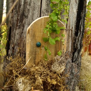 Puede incluir: Una pequeña puerta de madera con un pomo verde, ubicada en la corteza de un árbol. La puerta está rodeada de enredaderas verdes y musgo.
