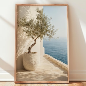 Mediterranean Olive Tree Pot, Greek Terrace Print, Coastal Home Decor