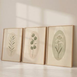 May include: Three framed wall art prints featuring botanical illustrations. Each print displays a single plant stem inside an oval shape against a vertically striped background. The frames are light wood, and the artwork uses muted green and beige tones.