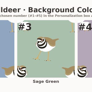 May include: A color selection chart for a Killdeer bird graphic, featuring five numbered options with distinct background colors: Soft Plum, Misty Blue, Sage Green, Heather, and Slate Blue. Each square displays a brown, white, and black bird illustration.