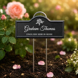 Op de afbeelding: Een rechthoekig zwart tuinplantenbordje met een afgeronde boog aan de bovenkant en twee metalen pinnen. Het bordje bevat een witte lijntekening van een roos boven de tekst Graham Thomas en de woorden ENGLISH SHRUB ROSE in witte hoofdletters.