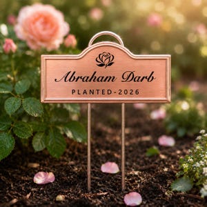 May include: A rectangular copper-toned metal garden plant marker with a rounded top arch. The sign features a black engraved rose icon, the text "Abraham Darb" in a script font, and the text "PLANTED-2026" in a sans-serif font, supported by two metal stakes.
