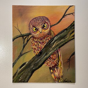 Owl