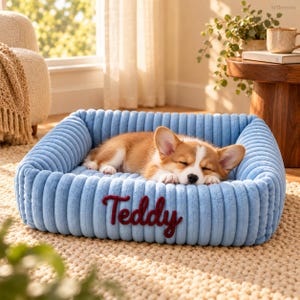 May include: A light blue rectangular pet bed with a ribbed, plush texture and high, cushioned sides. The front of the bed features the name Teddy embroidered in dark red script. A small, tan and white puppy is sleeping inside the bed.