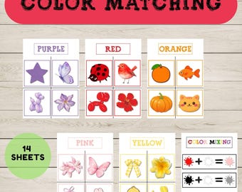 Actividades de clasificación y emparejamiento de colores, tarjetas didácticas de colores Montessori