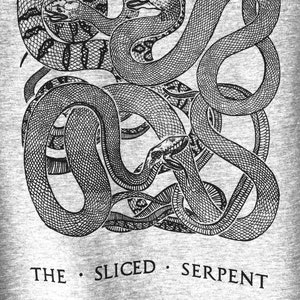 Snake T Shirt Serpent t-shirt hand printed, snake, snake image 7