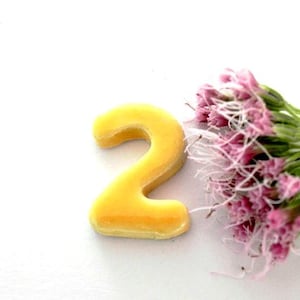 Può includere: Un numero due in ceramica gialla, con una finitura liscia e lucida, è mostrato su uno sfondo bianco. Un gruppo di piccoli fiori rosa con steli bianchi si trova a destra del numero.