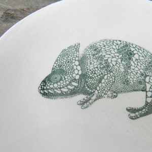 Puede incluir: Un plato de cer&aacute;mica blanco con un dise&ntilde;o de camale&oacute;n verde. El camale&oacute;n est&aacute; hecho de peque&ntilde;os c&iacute;rculos y puntos.