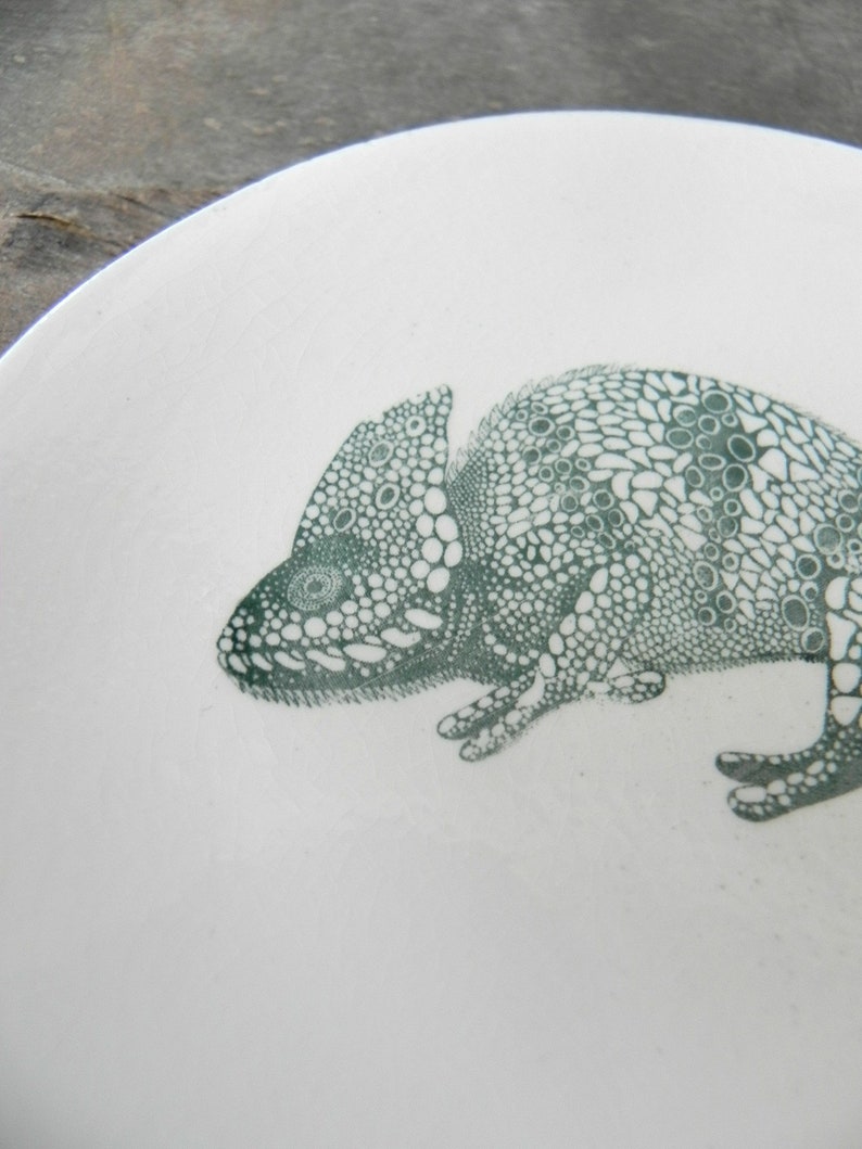 Puede incluir: Un plato de cer&aacute;mica blanco con un dise&ntilde;o de camale&oacute;n verde. El camale&oacute;n est&aacute; hecho de peque&ntilde;os c&iacute;rculos y puntos.