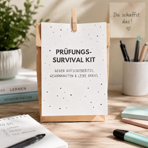 Könnte beinhalten: Eine braune Papiertüte mit einer weißen Karte, die mit einer Holzklammer befestigt ist. Die Karte trägt den schwarzen Text PRÜFUNGS-SURVIVAL KIT und GEGEN AUFSCHIEBERITIS, GEHIRNKNOTEN & LEERE AKKUS, verziert mit kleinen schwarzen Punkten auf der Fläche.