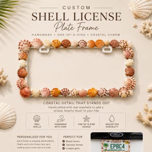 May include: A rectangular license plate frame decorated with a variety of natural seashells in shades of brown, tan, orange, and white. The frame features mounting holes at the top and is displayed against a light beige background with text.