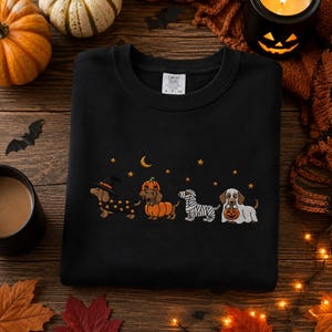 Può includere: Una felpa nera a girocollo con un ricamo raffigurante quattro bassotti in costume di Halloween: una strega, una zucca, una mummia e un fantasma che tiene una zucca, decorata con piccole stelle ricamate e una luna crescente.