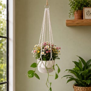 May include: A cream-colored macrame plant hanger featuring a knotted cord design with a circular metal ring at the top. The hanger holds a white pot containing a vibrant arrangement of small pink, yellow, and white daisy-like flowers and green vines.