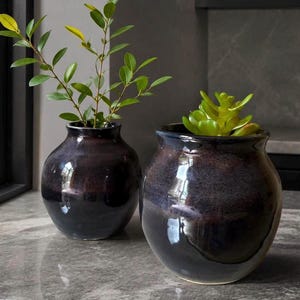 May include: Two rounded ceramic vases with a glossy, dark purple and black reactive glaze finish. The left vase contains a green leafy plant with thin stems, while the right vase holds a small, bright green succulent plant with thick leaves.