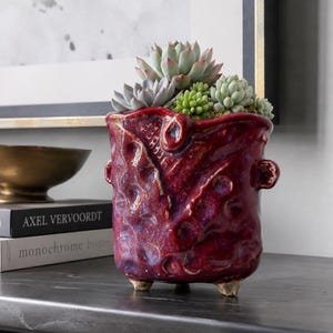 Peut inclure: Un pot en céramique rouge profond et brillant avec une surface texturée et irrégulière, doté de petites anses latérales et reposant sur trois pieds courts. Le pot contient un assortiment de plantes succulentes vert clair et bleu-vert.