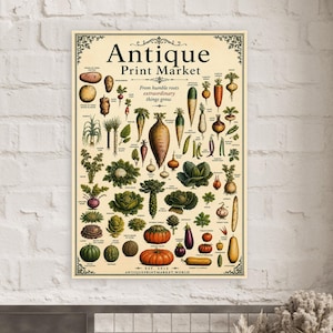 May include: A cream-colored poster titled Antique Print Market featuring a botanical illustration of various vegetables and root crops. The text reads From humble roots extraordinary things grow and includes the website AntiquePrintMarket.world at the bottom.