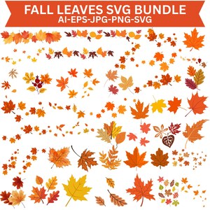 Puede incluir: Una colección digital de hojas de otoño de diversas formas y tamaños, con tonos naranja, rojo, amarillo y marrón. La pancarta superior muestra el texto FALL LEAVES SVG BUNDLE AI-EPS-JPG-PNG-SVG. Las hojas están dispuestas en grupos y filas.