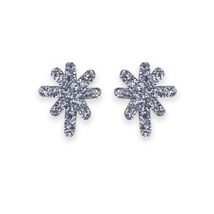 May include: A pair of silver star-shaped earrings with a sparkly finish.