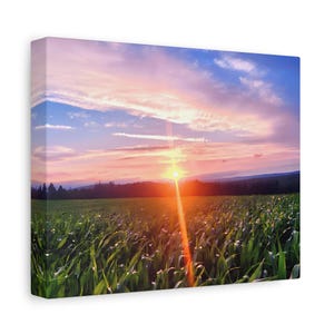 May include: A canvas print featuring a vibrant sunset over a green cornfield. The sun sits low on the horizon, casting a bright vertical light flare across the center. The sky transitions from deep blue to soft pink and orange hues above the trees.