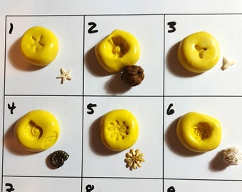Mini Nature Moulds - Various Starfish, Seedpod, Ammonite, Crystal  - around 1cm in size - great for jewellery, crafts, clay, resin and more