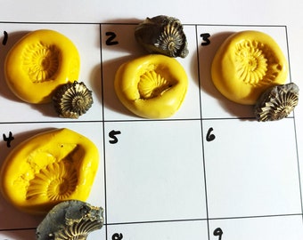 Natural Ammonite REVERSE / INVERSE Fossil Mould Selection - Small Craft Mould - for silver clay, metal clays, sugarcraft & other crafts