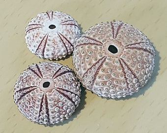 Natural Sea Urchin Mould - Small Silicone Rubber Craft Mould - Use with silver clay, metal clays, resin, sugarcraft & other crafts