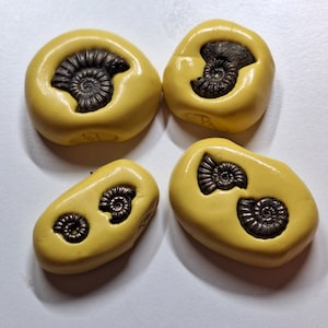 May include: Four yellow clay ammonite fossils with brown details. The fossils are shaped like stones and have a smooth, matte finish.