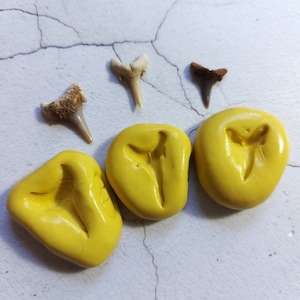Shark Tooth Silicone Mould Set:Rubber mould for Crafts, Jewellery, Clay, Wax, Resin, Sugarcraft