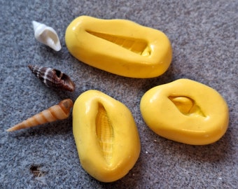 Mini Shell Mould Set - Long Twisted Shells - 1-2cm in size - great for jewellery, crafts, clay, resin and more