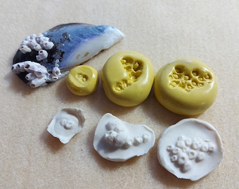 Natural Barnacle Mould - Small Silicone Rubber Craft Mould - Use with silver clay, metalclays, resin, sugarcraft & other crafts