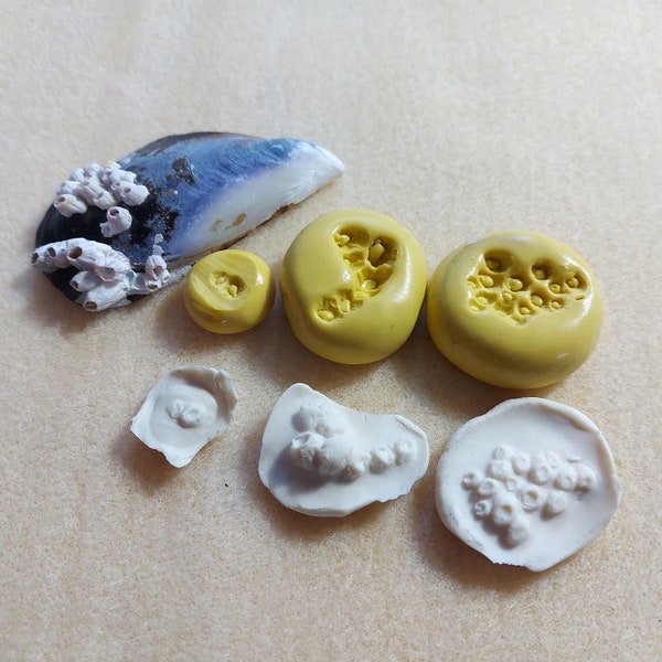 Natural Barnacle Mould - Small Silicone Rubber Craft Mould - Use with silver clay, metalclays, resin, sugarcraft & other crafts