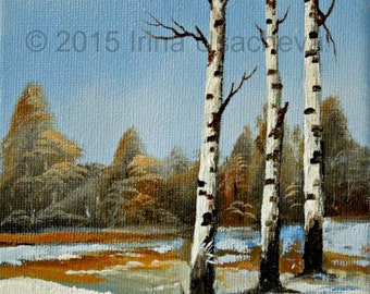 Original Oil Painting for Sale: "Silver Birch Trees in Spring", landscape