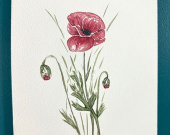 Original Watercolor Painting of a Poppy Flower