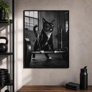 May include: A black and white framed wall art print depicting a tuxedo cat standing on its hind legs while gripping a metal barbell with its front paws in a gym setting. The cat has white markings on its chest and paws, with a focused expression.