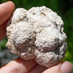 Puede incluir: Un espécimen mineral en bruto de color blanco roto que presenta un grupo de formaciones cristalinas redondeadas, fibrosas y radiantes. La superficie tiene un aspecto texturizado y mate con pequeñas inclusiones cristalinas translúcidas.