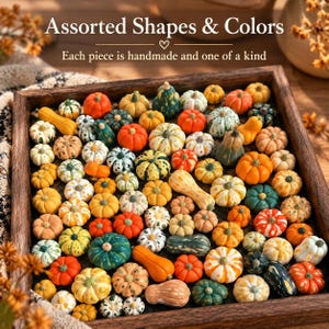 Op de afbeelding: Een verzameling decoratieve miniatuurpompoenen en kalebassen in diverse vormen en kleuren, gerangschikt in een houten dienblad. De tekst erboven luidt: Assorted Shapes & Colors. Each piece is handmade and one of a kind.
