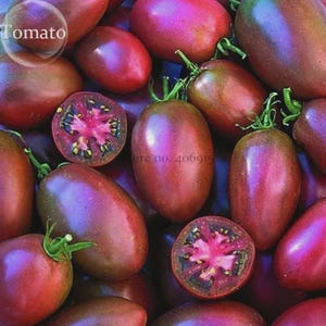 Könnte beinhalten: Eine Ansammlung ovaler Tomaten mit dunkelvioletter und rotbrauner Schale. Zwei Tomaten sind halbiert und zeigen ein leuchtend rosarotes Inneres mit sichtbaren Samen und einem sternförmigen Muster. An mehreren Früchten befinden sich noch grüne Stiele.