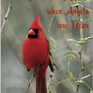 Aimant Cardinals Appear PLUS 10 cartes pour correspondance de style carte postale avec enveloppes