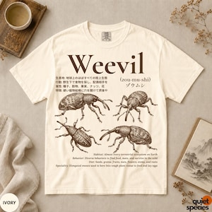 May include: An ivory short-sleeve t-shirt featuring a dark brown graphic print of four weevils. The text includes the word Weevil, Japanese characters, and English descriptions of the insect's habitat, behavior, diet, and physical characteristics.